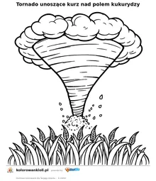 Tornado unoszące kurz nad polem kukurydzy — kolorowanka do wydruku dla dzieci