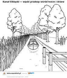 Kanał Elbląski — wąski przekop wśród trzcin i drzew — kolorowanka do wydruku dla dzieci