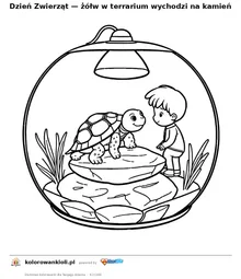 Dzień Zwierząt — żółw w terrarium wychodzi na kamień — kolorowanka do wydruku dla dzieci