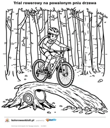 Trial rowerowy na powalonym pniu drzewa — kolorowanka do wydruku dla dzieci