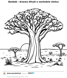 Baobab - drzewo Afryki o zachodzie słońca — kolorowanka do wydruku dla dzieci