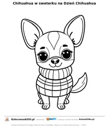 Chihuahua w sweterku na Dzień Chihuahua — kolorowanka na Dzień Chihuahua do wydruku
