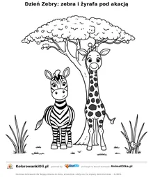 Dzień Zebry: zebra i żyrafa pod akacją — kolorowanka na Dzień Zebry do wydruku