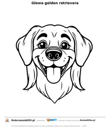 Głowa golden retrievera — kolorowanka na Dzień Golden Retrievera do wydruku