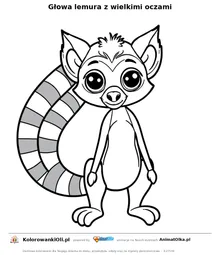 Głowa lemura z wielkimi oczami — kolorowanka na Dzień Lemura do wydruku