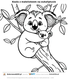 Koala z maleństwem na eukaliptusie — kolorowanka na Dzień Dzikiej Przyrody do wydruku