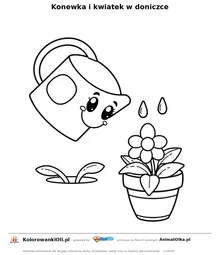 Konewka i kwiatek w doniczce — kolorowanka na Dzień Roślin Doniczkowych do wydruku