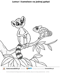 Lemur i kameleon na jednej gałęzi — kolorowanka na Dzień Lemura do wydruku