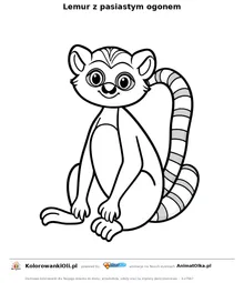 Lemur z pasiastym ogonem — kolorowanka na Dzień Małpy do wydruku
