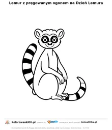 Lemur z pręgowanym ogonem na Dzień Lemura — kolorowanka na Dzień Lemura do wydruku