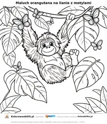 Maluch orangutana na lianie z motylami — kolorowanka na Dzień Orangutana do wydruku