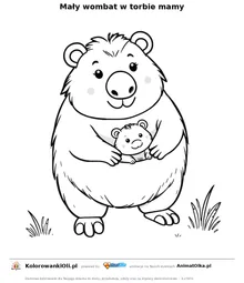 Mały wombat w torbie mamy — kolorowanka na Dzień Wombata do wydruku