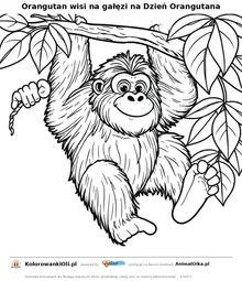 Orangutan wisi na gałęzi na Dzień Orangutana — kolorowanka na Dzień Orangutana do wydruku