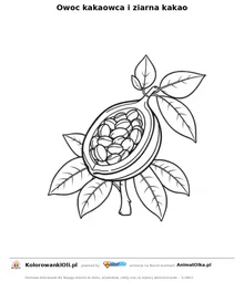 Owoc kakaowca i ziarna kakao — kolorowanka na Dzień Kremu Czekoladowego do wydruku
