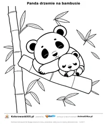 Panda drzemie na bambusie — kolorowanka na Dzień Drzemki do wydruku