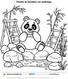 Panda je bambus na wybiegu — kolorowanka na Dzień Miłośników Zoo do wydruku