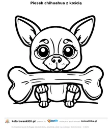 Piesek chihuahua z kością — kolorowanka na Dzień Chihuahua do wydruku