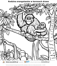 Rodzina orangutanów w koronach drzew — kolorowanka na Dzień Orangutana do wydruku