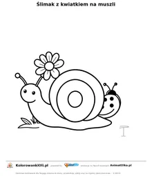 Ślimak z kwiatkiem na muszli — kolorowanka na Dzień Ślimaka do wydruku
