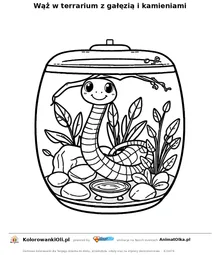 Wąż w terrarium z gałęzią i kamieniami — kolorowanka na Dzień Węża do wydruku