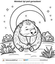 Wombat śpi pod gwiazdami — kolorowanka na Dzień Wombata do wydruku
