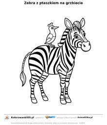 Zebra z ptaszkiem na grzbiecie — kolorowanka na Dzień Zebry do wydruku