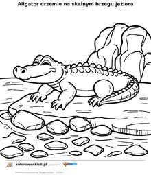 Aligator drzemie na skalnym brzegu jeziora — kolorowanka do wydruku dla dzieci
