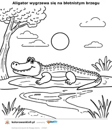 Aligator wygrzewa się na błotnistym brzegu — kolorowanka do wydruku dla dzieci