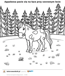 Appaloosa pasie się na łące przy sosnowym lesie — kolorowanka do wydruku dla dzieci