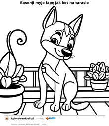 Basenji myje łapę jak kot na tarasie — kolorowanka do wydruku dla dzieci