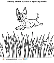 Basenji skacze wysoko w wysokiej trawie — kolorowanka do wydruku dla dzieci