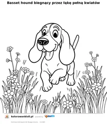 Basset hound biegnący przez łąkę pełną kwiatów — kolorowanka do wydruku dla dzieci