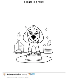 Beagle je z miski — kolorowanka do wydruku dla dzieci