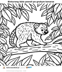 Binturong idzie powoli po grubym konarze — kolorowanka do wydruku dla dzieci