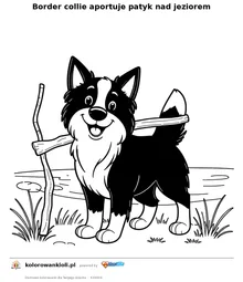 Border collie aportuje patyk nad jeziorem — kolorowanka do wydruku dla dzieci