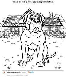 Cane corso pilnujący gospodarstwa — kolorowanka do wydruku dla dzieci