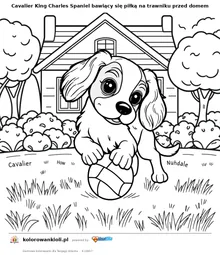 Cavalier King Charles Spaniel bawiący się piłką na trawniku przed domem — kolorowanka do wydruku dla dzieci