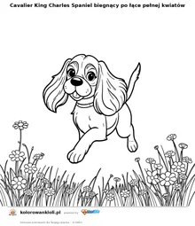 Cavalier King Charles Spaniel biegnący po łące pełnej kwiatów — kolorowanka do wydruku dla dzieci