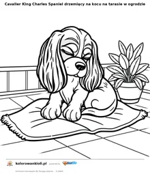 Cavalier King Charles Spaniel drzemiący na kocu na tarasie w ogrodzie — kolorowanka do wydruku dla dzieci