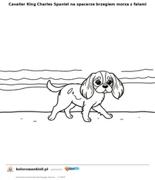 Cavalier King Charles Spaniel na spacerze brzegiem morza z falami — kolorowanka do wydruku dla dzieci