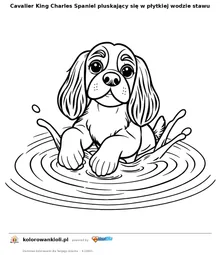 Cavalier King Charles Spaniel pluskający się w płytkiej wodzie stawu — kolorowanka do wydruku dla dzieci