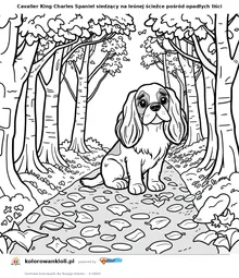 Cavalier King Charles Spaniel siedzący na leśnej ścieżce pośród opadłych liści — kolorowanka do wydruku dla dzieci