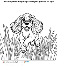 Cocker spaniel biegnie przez wysoką trawę na łące — kolorowanka do wydruku dla dzieci