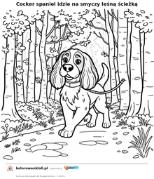 Cocker spaniel idzie na smyczy leśną ścieżką — kolorowanka do wydruku dla dzieci