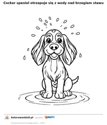 Cocker spaniel otrzepuje się z wody nad brzegiem stawu — kolorowanka do wydruku dla dzieci