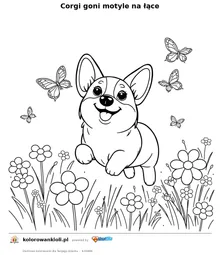 Corgi goni motyle na łące — kolorowanka do wydruku dla dzieci