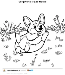 Corgi turla się po trawie — kolorowanka do wydruku dla dzieci