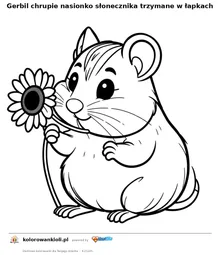 Gerbil chrupie nasionko słonecznika trzymane w łapkach — kolorowanka do wydruku dla dzieci