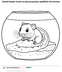 Gerbil kopie tunel w piaszczystym podłożu terrarium — kolorowanka do wydruku dla dzieci