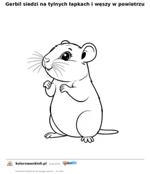 Gerbil siedzi na tylnych łapkach i węszy w powietrzu — kolorowanka do wydruku dla dzieci